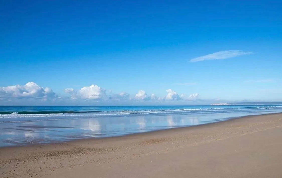 Apartamento Aretusa El Velero Zahara de los Atunes Spain