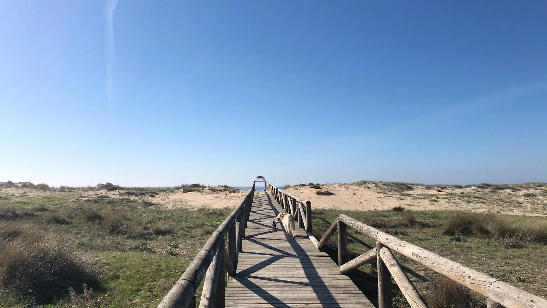 Apartamento Aretusa El Velero Zahara de los Atunes Apartment